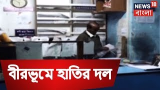 ঝাড়খণ্ড থেকে বীরভূমে হাতির দল | 5 মিনিটে 25