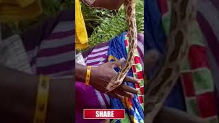 අනේ පිඹුරෝ උඹ නම් 😇😇| cobra snake dance | animals video | YouTube shorts video | trending | #shorts