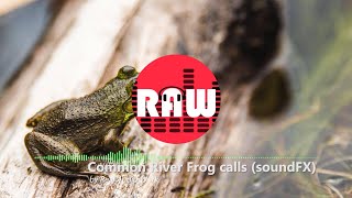 Common River Frog calls (soundFX) | High Quality | NonCopyright