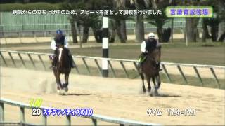 【2012育成馬展示会　調教映像】№20 ステファノティスの10