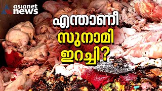 എന്താണ് വാർത്തകളിൽ നിറയുന്ന സുനാമി ഇറച്ചി? | Tsunami Meat