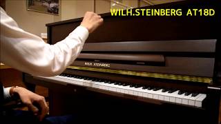 【演奏動画】 WILH.STEINBERG　AT18D