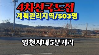 (영천부동산칸)No215 영천시고경면4차선국도접한땅(계획관리지역)503평매매#영천주택매매 #영천땅매매