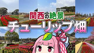 関西から行ける！絶景チューリップ畑10選【花の観光名所】