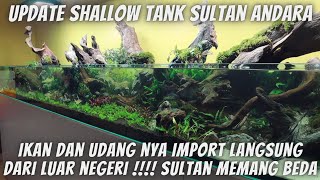 UPDATE SHALLOW TANK SULTAN ANDARA - PENGHUNI PERTAMA DI TANK SHALLOW SULTAN ANDARA !!!!!