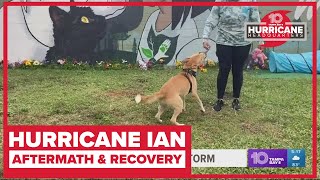 Tampa animal rescue saves dozens of dogs after Hurricane Ian