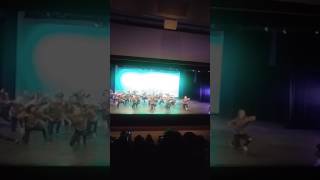 RMHS Hypno Show 2017(1)