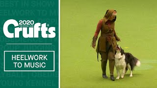 Heelwork To Music Competition - Part 1 | Crufts 2020