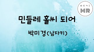 민들레홀씨되어 - 박미경 (남자키E)