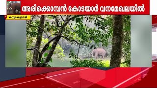 ആശങ്ക വേണ്ട; അരിക്കൊമ്പന്‍ ഉള്‍ക്കാട്ടിലെന്ന് കന്യാകുമാരി ജില്ലാ കളക്ടര്‍ | Arikkomban