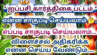 #ஐப்பசி கார்த்திகை பட்டம் என்ன சாகுபடி செய்யலாம் எப்படி சாகுபடி செய்யலாம் 🤔