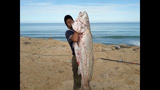 رحلة صيد السمك رقم 27…:  سمكة كوربين 35..كيلو غرام….  - اهلها لصيد السمك - sea fishing 🎣