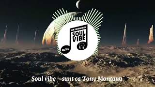 Sunt ca  Tony Montana - Soul vibe