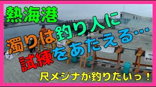 【ウキ釣り・カゴ釣り】（2022/3/29熱海港)濁った海は、釣り人に試練をあたえて来ました。さて尺メジナは釣れるでしょうか。納竿前、釣り人さんがちょいカゴに興味を持って見に来ました。