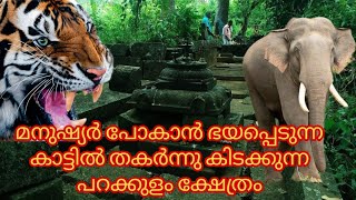 Parakulam Temple | പറക്കുളം ക്ഷേത്രം | കാട്ടിനുള്ളിൽ വിസ്മയം