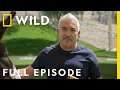 Jurassic Pack: Part 2 | Cesar Millan: Better Human Better Dog | Nat Geo Wild