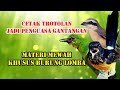 MASTERAN MEWAH | MATERI PILIHAN UNTUK BURUNG LOMBA