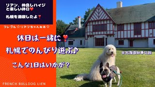 わんこと一緒に、札幌でこんな1日はいかが？【フレンチブルドッグ】VLOG