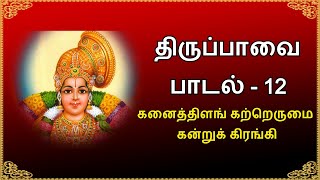 திருப்பாவை பாடல் 12 கனைத்திளங் கற்றெருமை கன்றுக் கிரங்கி - Tiruppavvai Padal 12 Kanaiththu ilam