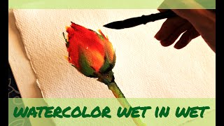 Watercolor Tutorial: Wet-in-Wet Technique Explained and Painting a Rose Bud