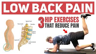 Hip Exercises for Low Back Pain: Research Review