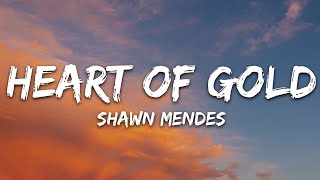 Shawn Mendes - Heart of Gold (Lyrics)