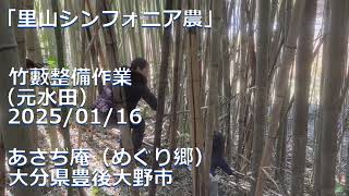 竹藪整備作業（元水田） 20250116　里山での自給自足「里山シンフォニア農」