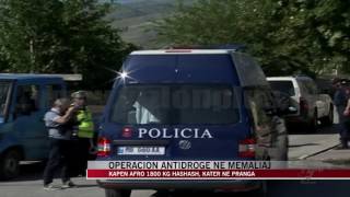 Operacion antidrogë në Memaliaj - News, Lajme - Vizion Plus