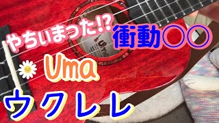 Uma「ウーマ」　ウクレレ買ちゃった ⁉