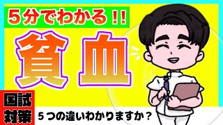 5分で貧血５つ説明してみた【看護師国家試験対策】