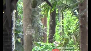 Wild animal attack in Wayanad | Kannadi 9 August 2015