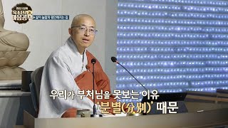 [Btn육조4] 삶이 놀랍게 평안해지는 길, 늘 있는 부처를 못 보는 이유