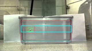 Fish tracking. (OpenCV, Mean-Shift)