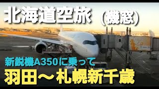 【北海道空旅】JAL503便 A350-900 羽田～札幌新千歳冬のフライト搭乗記