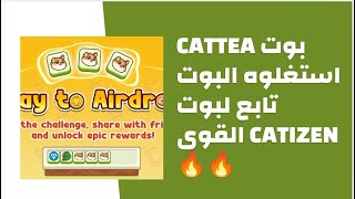 شرح بوت cattea ارباح خيالية البوت تابع لبوت catizen استغل الفرصة 🔥🔥