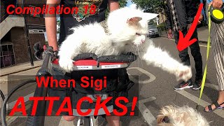 Sigi Rides Compilation 18