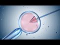 Alabama Supreme Court legally recognizes frozen embryos as children | What this means for IVF