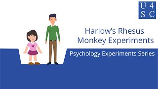 Harlow’s Rhesus Monkey Experiments: Monkeying Around With Love  - Psychological Experiments Seri...