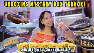 UNBOXING MYSTERY BOX CHANNA TERHOKI‼️