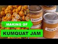 Making Kumquat Jam: Fruit & Sugar only (no pectin added).