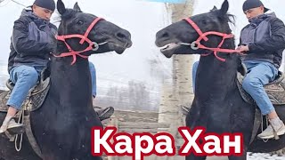 Кара Хан Палтарашка Орт экен🔥🔥🔥