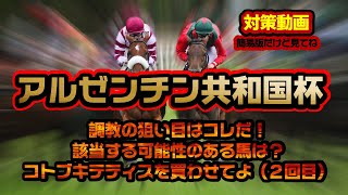 《アルゼンチン共和国杯 2022》簡易版）東京芝2500mで注目する調教〘データ紹介〙母数は少ないが特注調教をご紹介｜そろそろコトブキテティスを買いたい（もう１年待ってます）