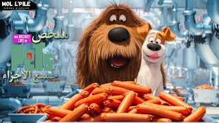 الحياة السرية للحيوانات الأليفة❤️مغامرات الكلب ماكس🐕 جميع الأجزاء🔥|| The Secret Life Of Pets 2️⃣+1️⃣