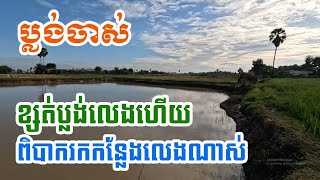 ប្លង់ចាស់ ខ្សត់ប្លង់លេងហើយ ពិបាករកកន្លែងលេងណាស់