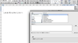 Word 2011 for Macでマクロ登録＋キーボード登録の実演