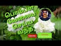 pombala velaiya seiyya vantha intha raasa magana paaru🌿🌻tamil song in digital music. use 🎧