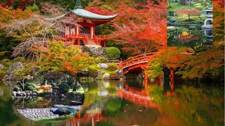 Kyoto Garden - London