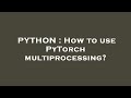 PYTHON : How to use PyTorch multiprocessing?