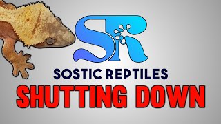 Shutting Down My Reptile Business Sostic Reptiles