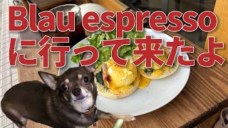 綾瀬のおしゃれカフェBlau espresso （ブラウ エスプレッソ）に行って来たよ｜I visited the stylish café Blau Espresso in Ayase!